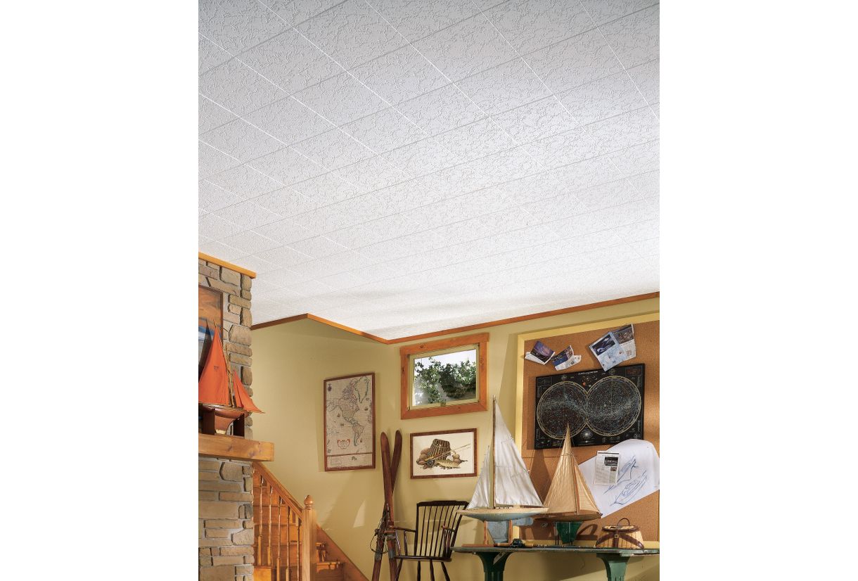 Ceiling Tiles 12x12