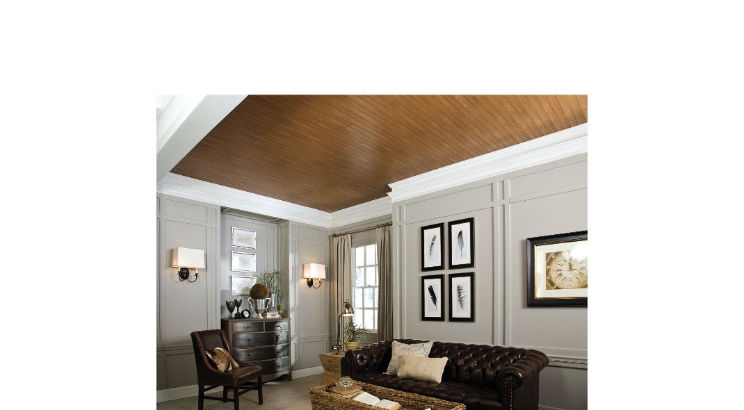 Wood Look Ceilings - 1149, Ceilings