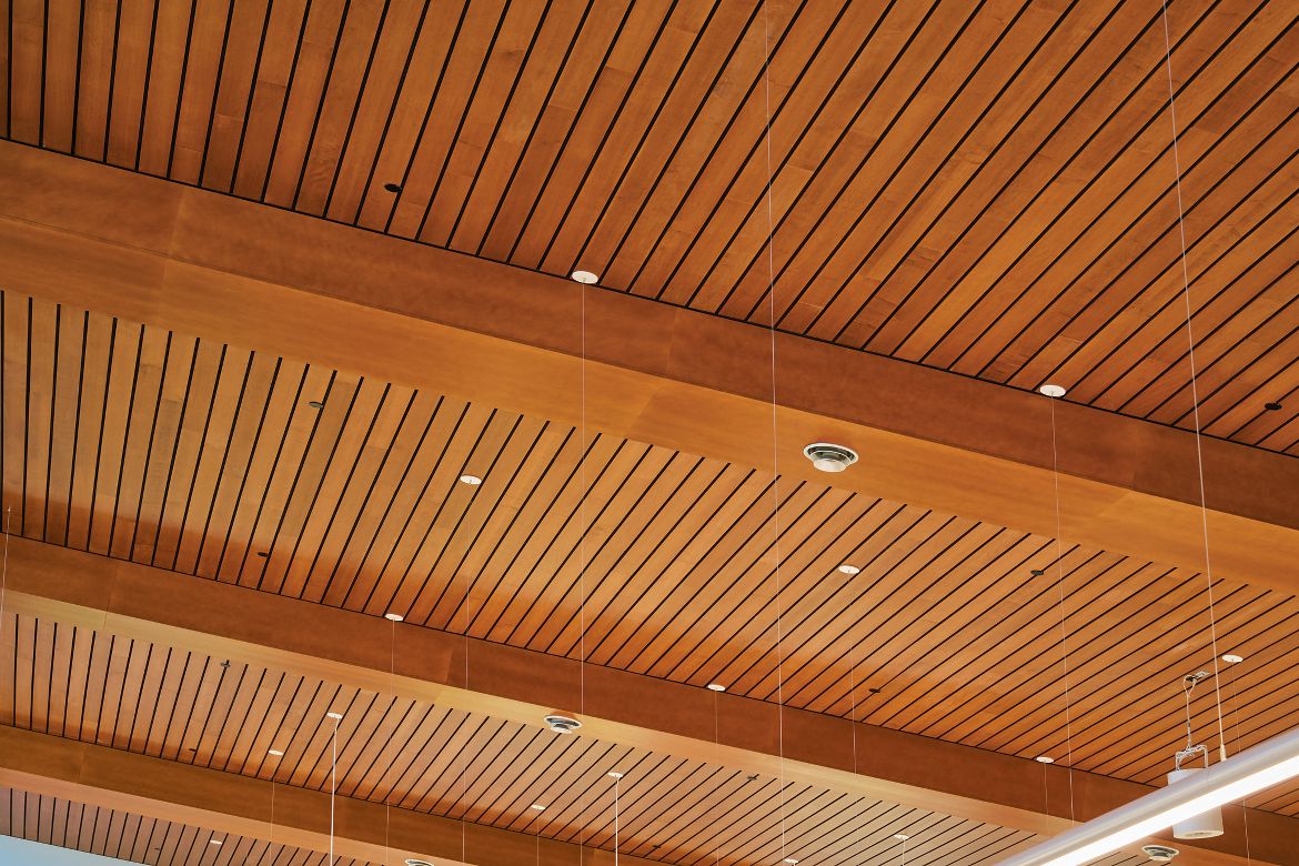 Shelby Township Library Shelby Township, MI