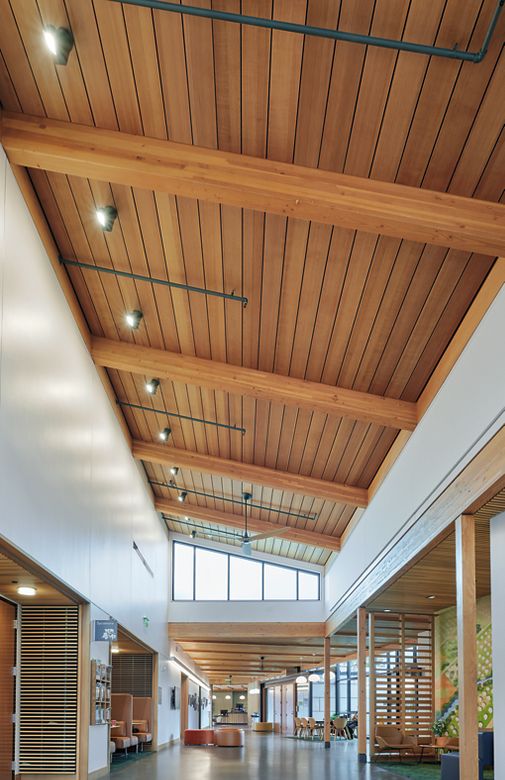 Los Altos Community Center | Armstrong Ceiling Solutions – Commercial