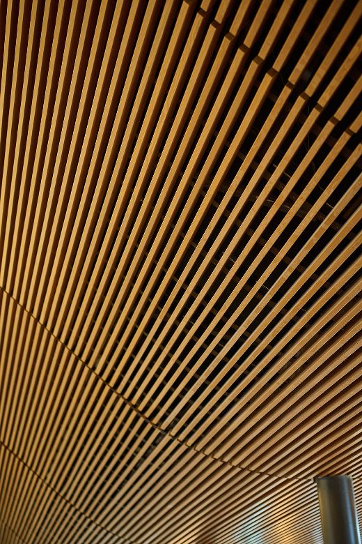 St. Peter's Catholic Church Miami, FL