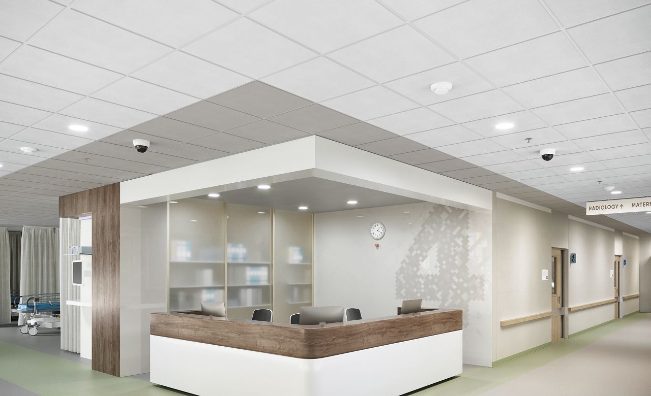 CALLA HEALTH ZONE Standard Colors Rendering