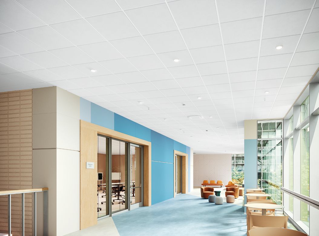 CALLA TEMPLOK Education Rendering