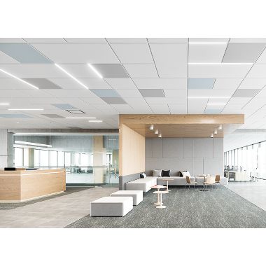 CALLA HEALTH ZONE (Room Scene)