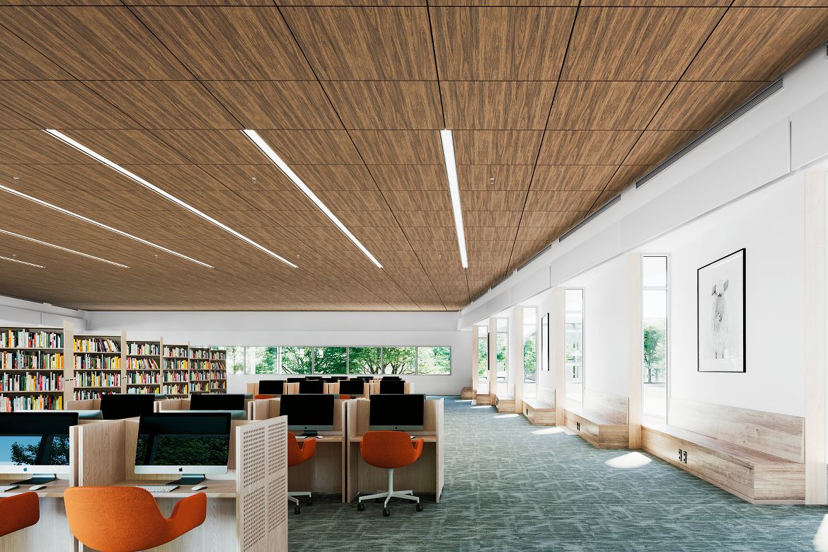 Lyra Wood Looks Library Rendering