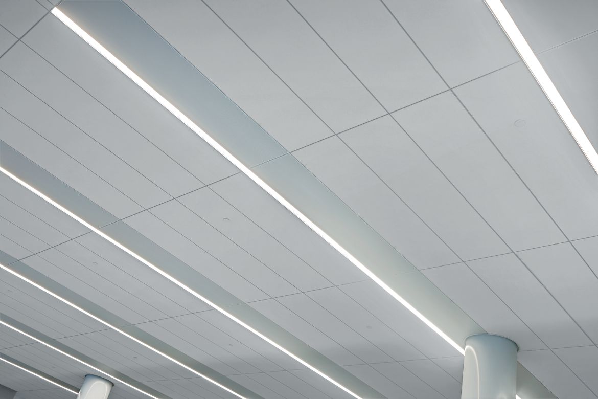 Zen Building Albany, NY