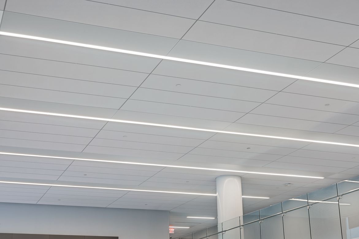 Zen Building Albany, NY