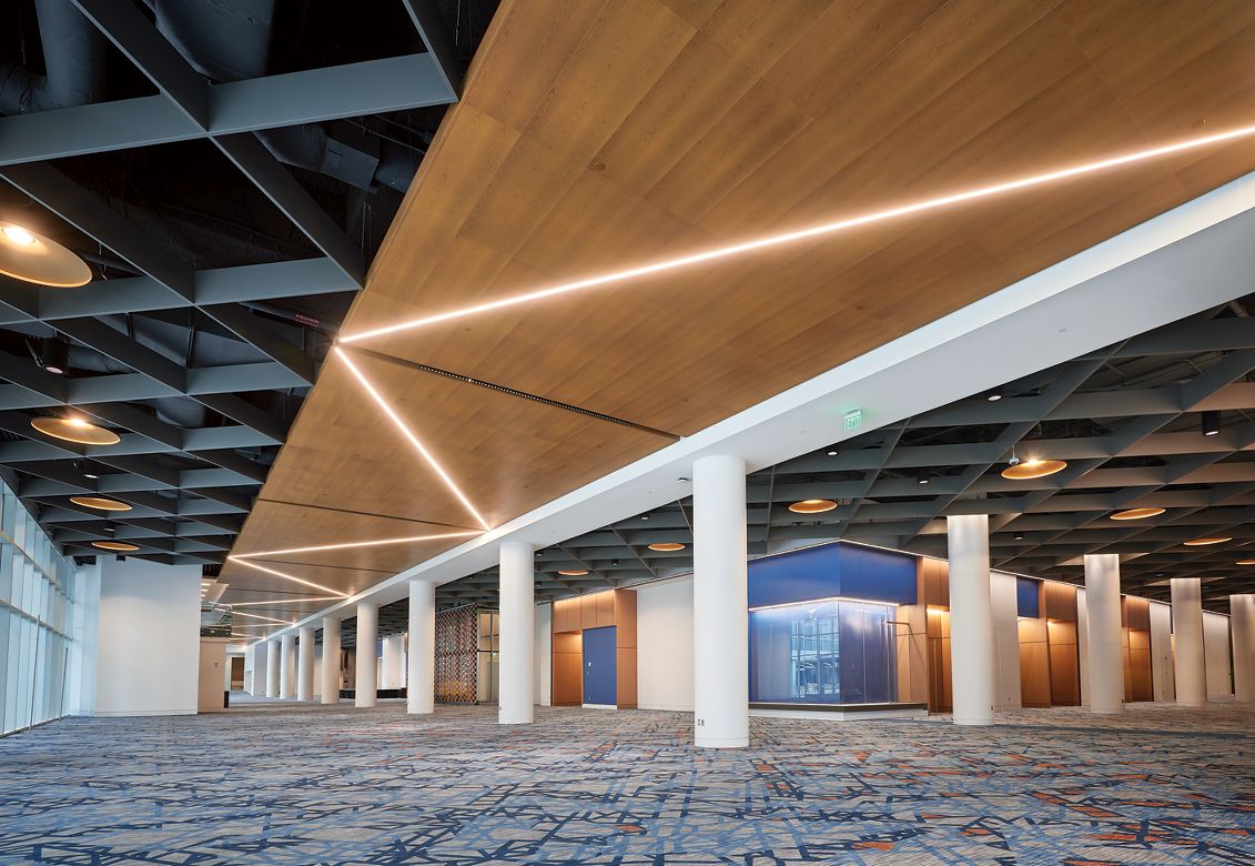 METALWORKS Torsion Spring / METALWORKS Blades