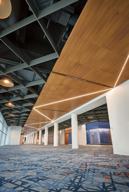 METALWORKS Torsion Spring / METALWORKS Blades