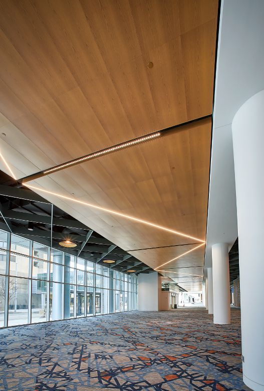 METALWORKS Torsion Spring / METALWORKS Blades