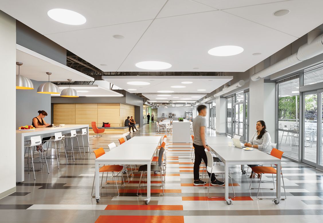 ALTITUDES Torsion Spring