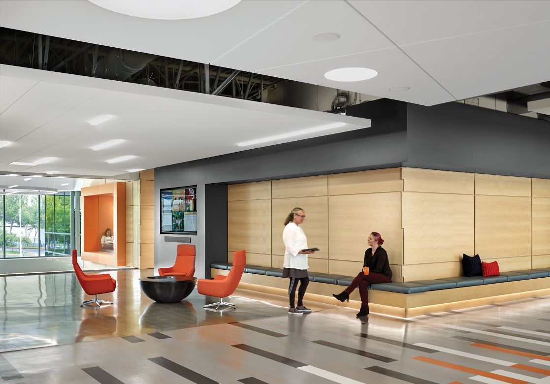 ALTITUDES Torsion Spring