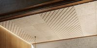TECTUM DESIGNART Direct-Attach Ceiling and Wall Rendering , 