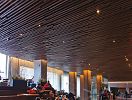 ACGI Baffles ceiling system