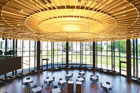 WOODWORKS ACGI Baffles  Armstrong Ceiling Solutions – Commercial