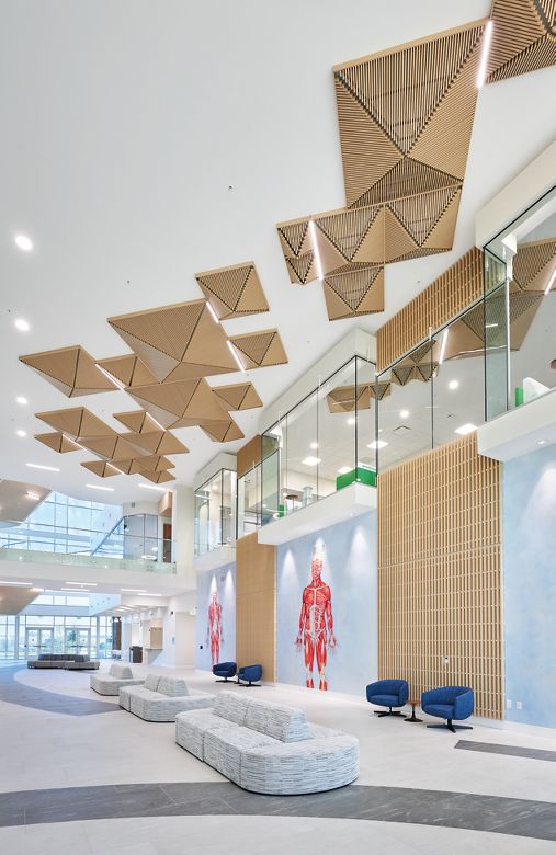 Orlando College of Osteopathic Medicine (OCOM)