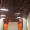 ACGI Grille ceiling system