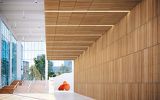 WOODWORKS Forté Veneer Art Gallery Rendering