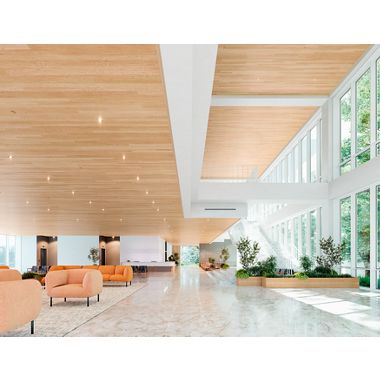 WOODWORKS ACGI Baffles  Armstrong Ceiling Solutions – Commercial