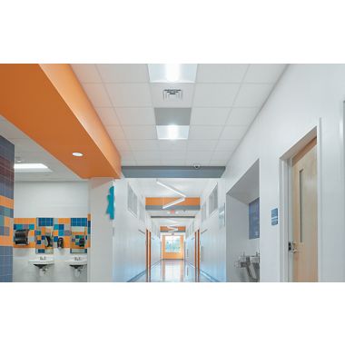 SCHOOL ZONE FINE FISSURED (Room Scene)