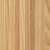 Western Hemlock
