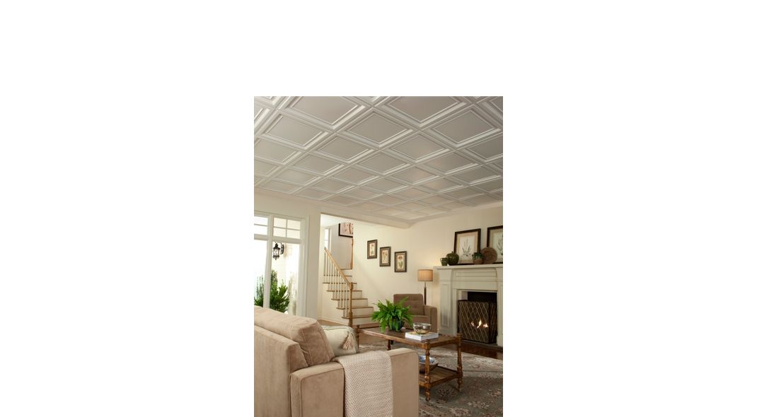 chatarra anchura Vandalir Paneles de techo de plástico - 1282BXA | Ceilings | Armstrong Residential