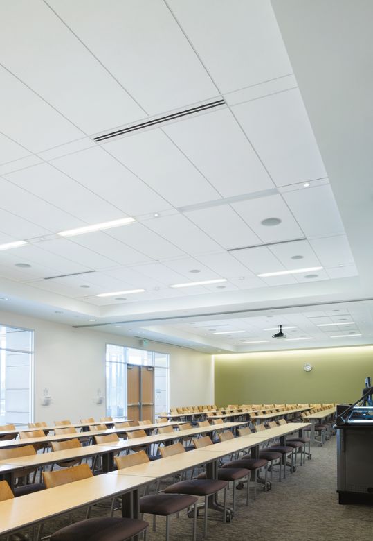 University of North Texas