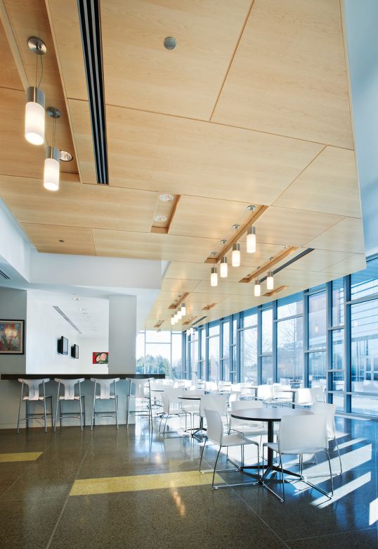 University of North Texas