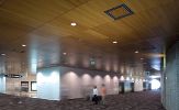 Tampa International Airport