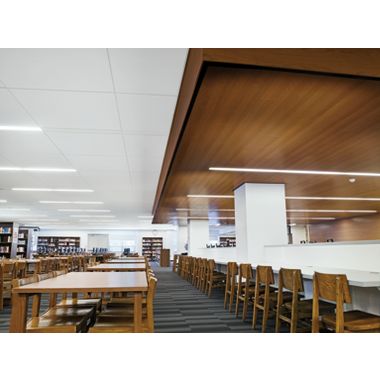 WOODWORKS ACGI Baffles  Armstrong Ceiling Solutions – Commercial