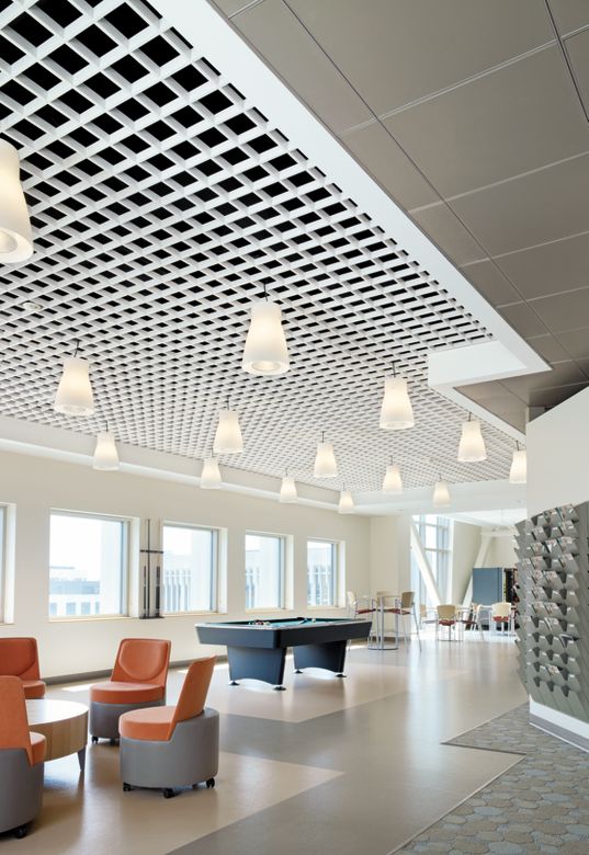 Secchia Center- Michigan State University College of Human Medicine