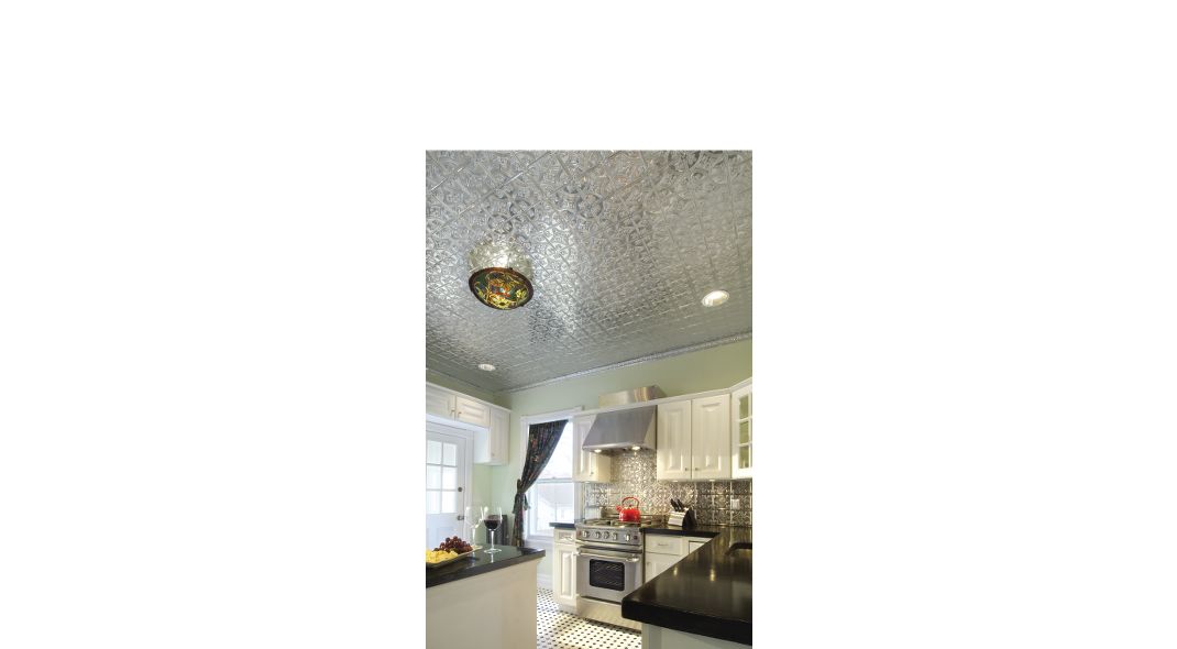 Armstrong Ceilings 48-in x 24-in Metallaire Small Floral Circle Lacquered Steel Metal/Tin Surface-Mount Panel Ceiling Tiles