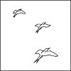 Things That Fly