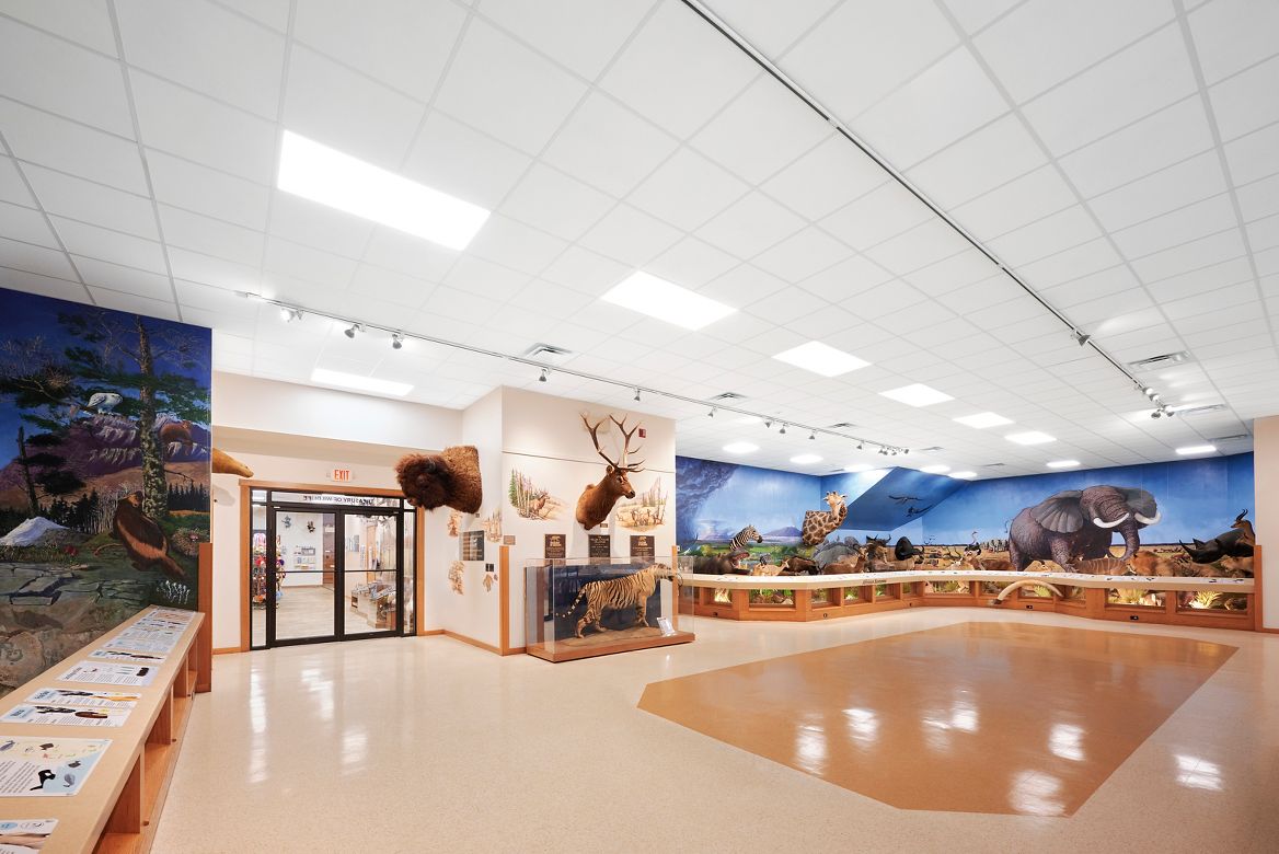 Nixon Nature Center & Susquenita SD - Photography York, PA