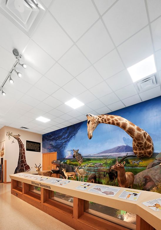 Nixon Nature Center & Susquenita SD - Photography York, PA