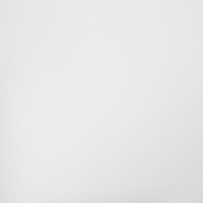 Armstrong Ceilings Lumawash White Mineral Fiber Drop Ceiling Tile Sample