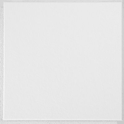 12" x 12" Washable White 231